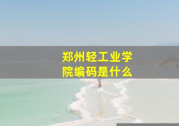 郑州轻工业学院编码是什么