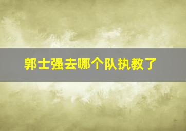 郭士强去哪个队执教了