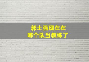 郭士强现在在哪个队当教练了