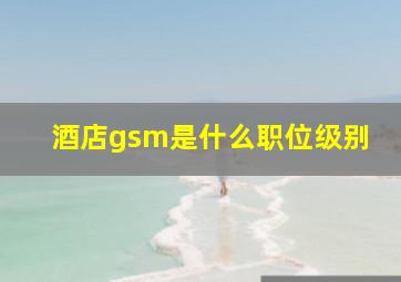 酒店gsm是什么职位级别