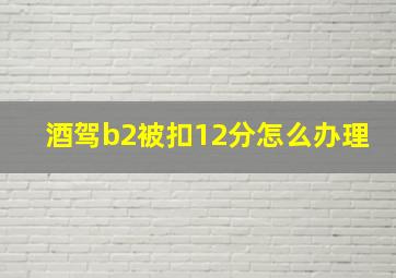 酒驾b2被扣12分怎么办理