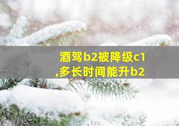 酒驾b2被降级c1,多长时间能升b2