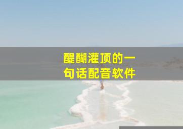 醍醐灌顶的一句话配音软件