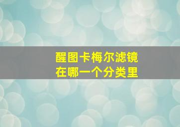 醒图卡梅尔滤镜在哪一个分类里