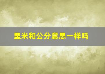 里米和公分意思一样吗