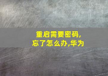 重启需要密码,忘了怎么办,华为