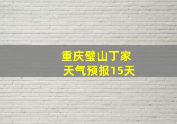 重庆璧山丁家天气预报15天