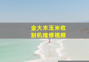 金大丰玉米收割机维修视频