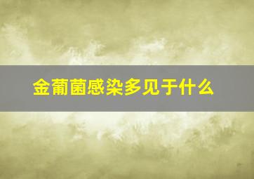 金葡菌感染多见于什么