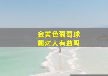 金黄色葡萄球菌对人有益吗