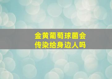 金黄葡萄球菌会传染给身边人吗