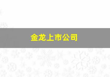 金龙上市公司