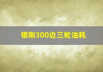 银刚300边三轮油耗