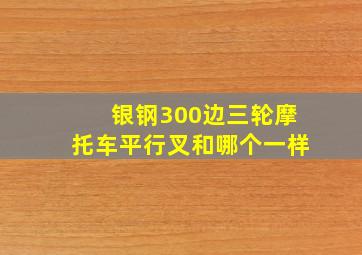 银钢300边三轮摩托车平行叉和哪个一样