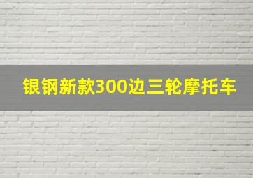 银钢新款300边三轮摩托车