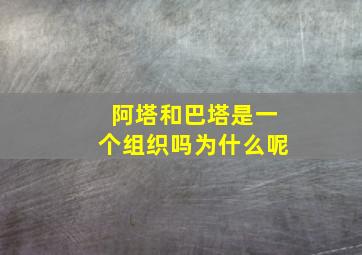 阿塔和巴塔是一个组织吗为什么呢