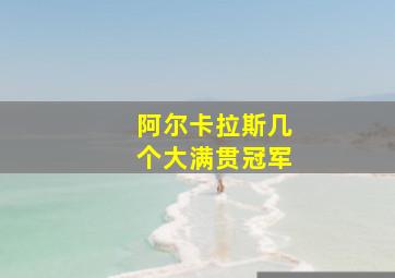 阿尔卡拉斯几个大满贯冠军