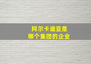 阿尔卡迪亚是哪个集团的企业