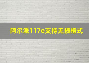 阿尔派117e支持无损格式