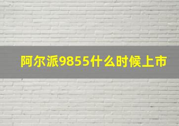 阿尔派9855什么时候上市