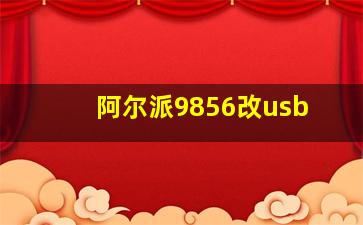 阿尔派9856改usb