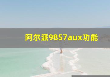 阿尔派9857aux功能