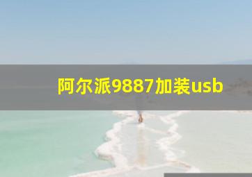 阿尔派9887加装usb