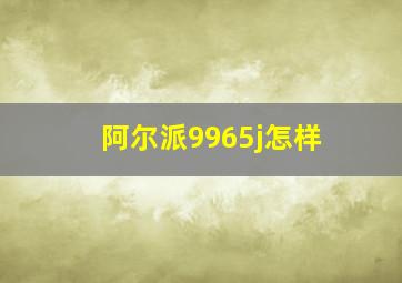 阿尔派9965j怎样