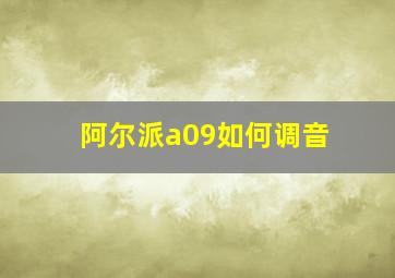 阿尔派a09如何调音