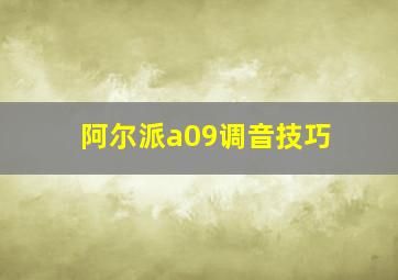 阿尔派a09调音技巧