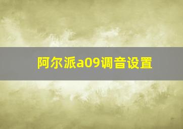 阿尔派a09调音设置