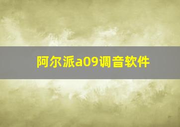 阿尔派a09调音软件