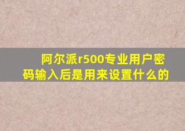 阿尔派r500专业用户密码输入后是用来设置什么的