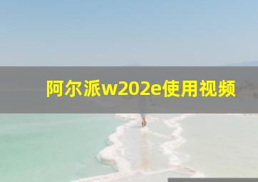 阿尔派w202e使用视频