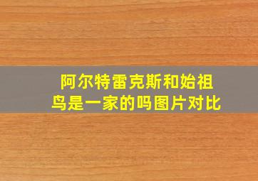 阿尔特雷克斯和始祖鸟是一家的吗图片对比