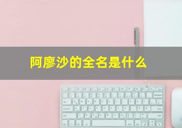 阿廖沙的全名是什么