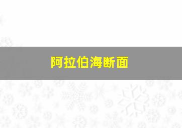 阿拉伯海断面