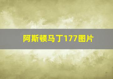 阿斯顿马丁177图片