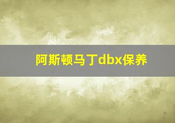 阿斯顿马丁dbx保养