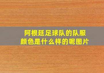 阿根廷足球队的队服颜色是什么样的呢图片