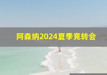 阿森纳2024夏季竞转会