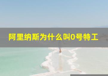 阿里纳斯为什么叫0号特工