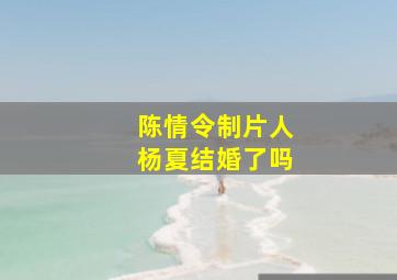 陈情令制片人杨夏结婚了吗