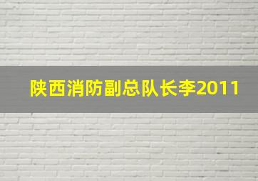 陕西消防副总队长李2011