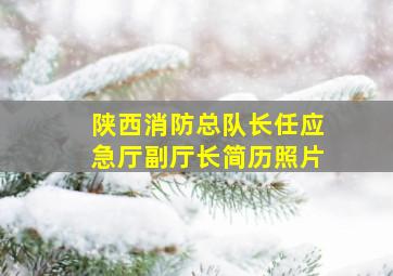 陕西消防总队长任应急厅副厅长简历照片