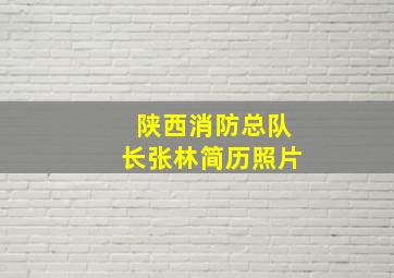 陕西消防总队长张林简历照片