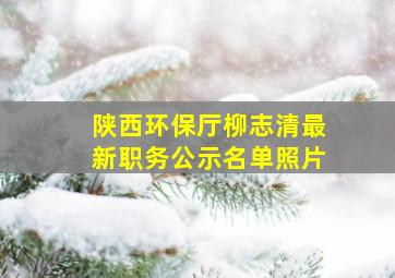 陕西环保厅柳志清最新职务公示名单照片