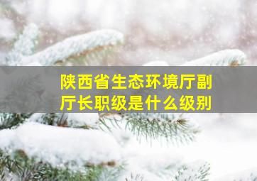 陕西省生态环境厅副厅长职级是什么级别