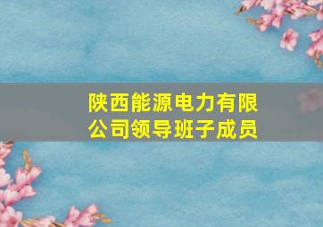 陕西能源电力有限公司领导班子成员