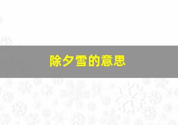 除夕雪的意思